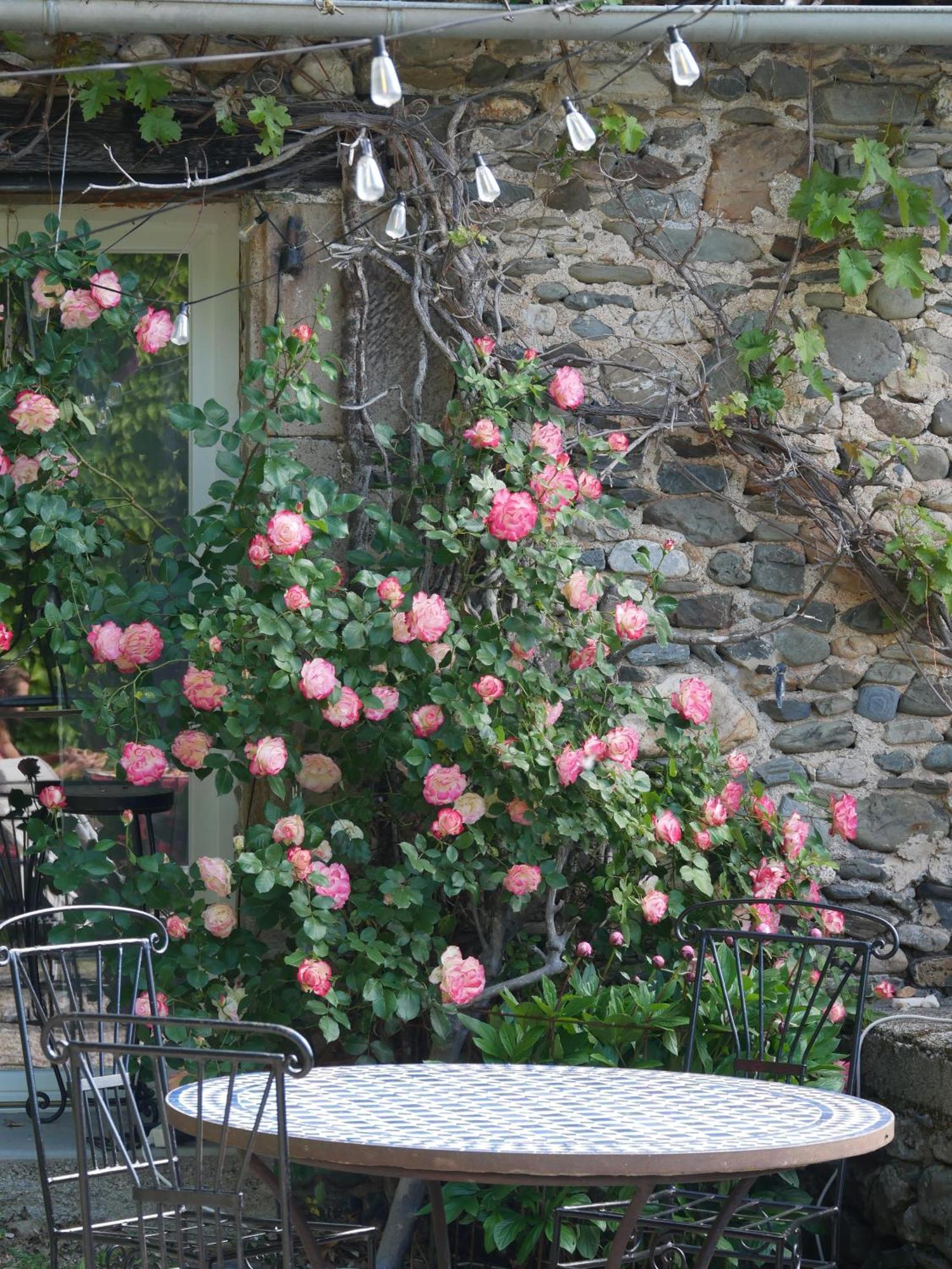 Les Jardins De Lumiere Acomodação com café da manhã Brusque Exterior foto
