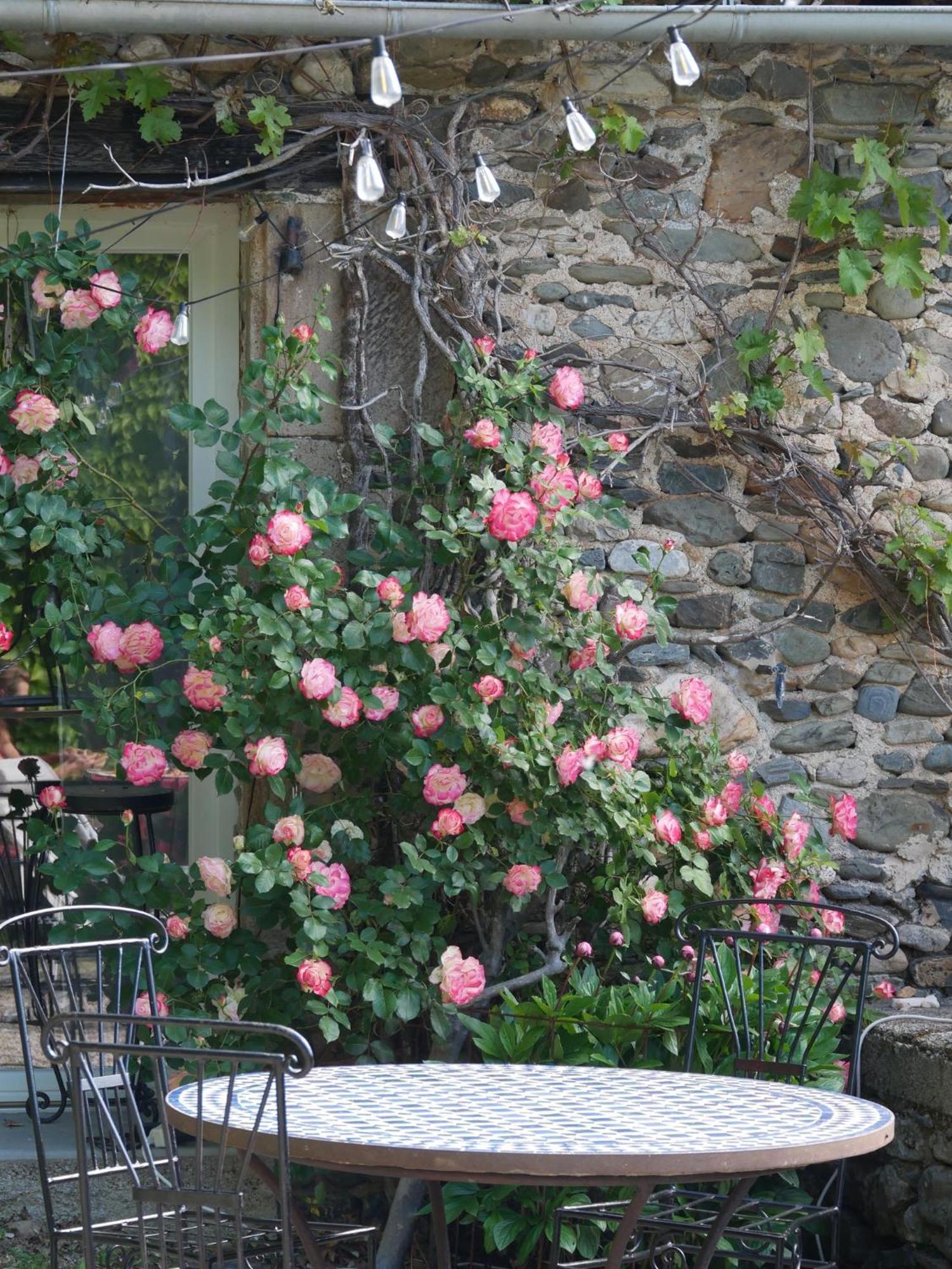 Les Jardins De Lumiere Acomodação com café da manhã Brusque Exterior foto